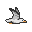 Seagull